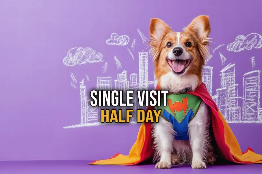 singlehalf.webp